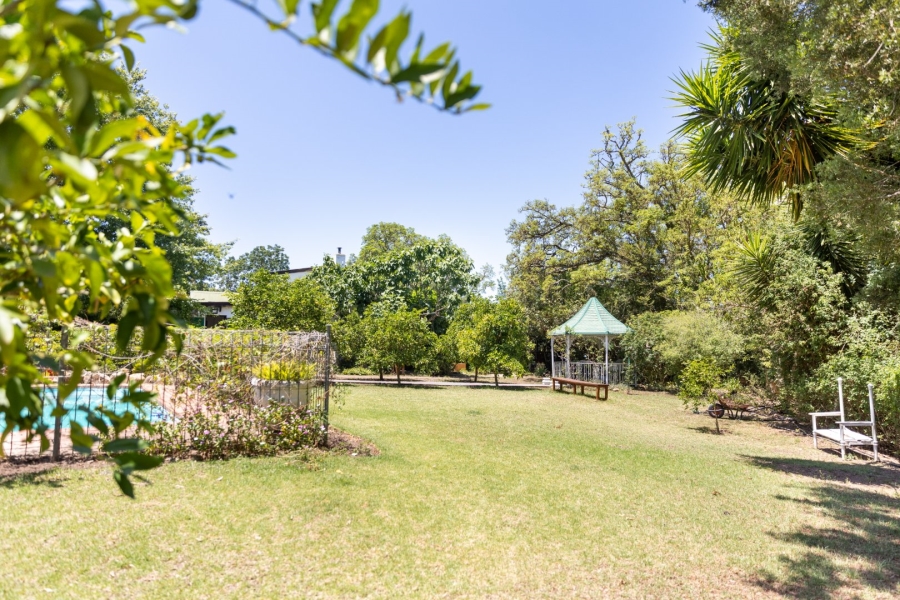 Commercial Property for Sale in Wittedrift Western Cape